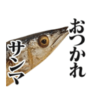 ながーーーいサンマ【面白い・ドッキリ】（個別スタンプ：12）