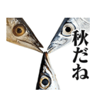 ながーーーいサンマ【面白い・ドッキリ】（個別スタンプ：20）