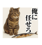 ながーーーいサンマ【面白い・ドッキリ】（個別スタンプ：28）