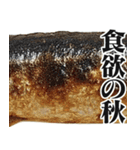 ながーーーいサンマ【面白い・ドッキリ】（個別スタンプ：37）