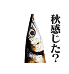 ながーーーいサンマ【面白い・ドッキリ】（個別スタンプ：38）