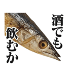 ながーーーいサンマ【面白い・ドッキリ】（個別スタンプ：39）