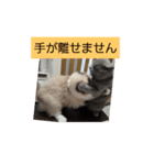 あおルナのお言葉（個別スタンプ：1）