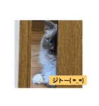あおルナのお言葉（個別スタンプ：2）