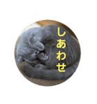 あおルナのお言葉（個別スタンプ：9）