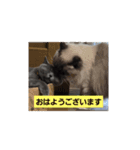 あおルナのお言葉（個別スタンプ：10）