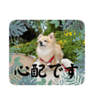 アエラのスタンプ2（個別スタンプ：7）