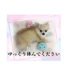 アエラのスタンプ2（個別スタンプ：11）