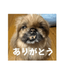 王子ありがとう（個別スタンプ：3）