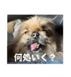 王子ありがとう（個別スタンプ：4）