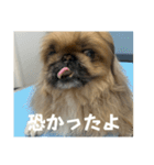 王子ありがとう（個別スタンプ：5）