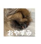 王子ありがとう（個別スタンプ：6）