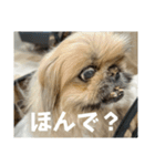 王子ありがとう（個別スタンプ：7）