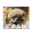 王子ありがとう（個別スタンプ：8）