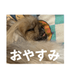 王子ありがとう（個別スタンプ：9）