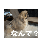 王子ありがとう（個別スタンプ：10）