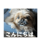 王子ありがとう（個別スタンプ：14）