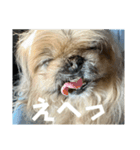 王子ありがとう（個別スタンプ：15）