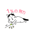 ひろゆきみたいな猫スタンプ（個別スタンプ：5）