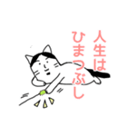 ひろゆきみたいな猫スタンプ（個別スタンプ：15）