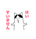 ひろゆきみたいな猫スタンプ（個別スタンプ：19）