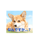 動く！コーギーのスタンプ（個別スタンプ：6）