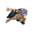 いないなすたんぷ（個別スタンプ：2）