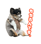 ぽっちゃん-敬語-（個別スタンプ：4）