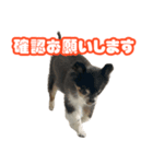 ぽっちゃん-敬語-（個別スタンプ：7）