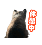 ぽっちゃん-敬語-（個別スタンプ：10）