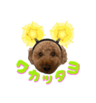 プリンセスと愉快なワンコ（個別スタンプ：9）