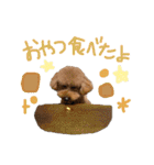 プリンセスと愉快なワンコ（個別スタンプ：25）