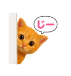 おむつ茶トラ子猫（個別スタンプ：40）