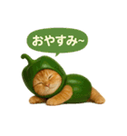野菜を着た猫（個別スタンプ：3）