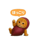 野菜を着た猫（個別スタンプ：21）