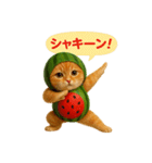 野菜を着た猫（個別スタンプ：25）