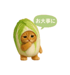 野菜を着た猫（個別スタンプ：35）