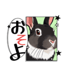 ウサウサしりとりPart2（個別スタンプ：6）