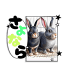 ウサウサしりとりPart2（個別スタンプ：11）