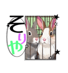 ウサウサしりとりPart2（個別スタンプ：13）