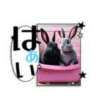 ウサウサしりとりPart2（個別スタンプ：20）