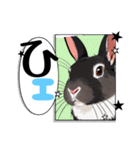 ウサウサしりとりPart2（個別スタンプ：22）