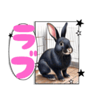 ウサウサしりとりPart2（個別スタンプ：34）