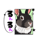 ウサウサしりとりPart2（個別スタンプ：36）