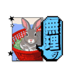 ウサウサしりとりPart4（個別スタンプ：36）