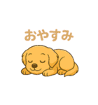 ミニチュアダックスフント"チャイ"挨拶（個別スタンプ：4）