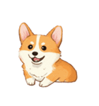 コーギーのイラスト（個別スタンプ：4）
