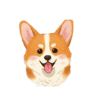 コーギーのイラスト（個別スタンプ：8）