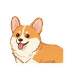 コーギーのイラスト（個別スタンプ：10）
