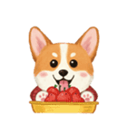 コーギーのイラスト（個別スタンプ：37）